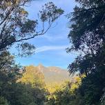 Club Mountain Run at Pukeiti