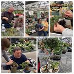 Billings Bonsai Club Monthly Meeting