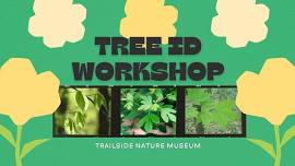 Tree ID Workshop