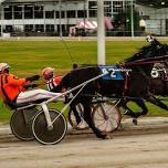 Live Harness Racing