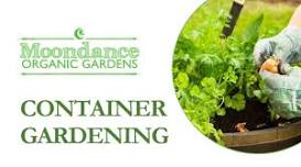 Container Gardening