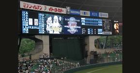 Hanshin Tigers vs Saitama Seibu Lions, 8 June 2024