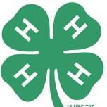 4-H Club Meeting