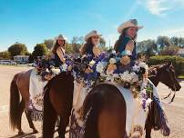 Meridian Lions Rodeo