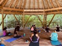   Weekly Community Yoga (Stone Mountain) $15