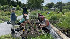 Volunteer Day at Landfarm