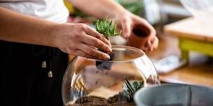 Workshop: Terrariums 101