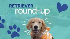 Retriever Round-Up