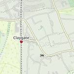 Claygate Country Five Run