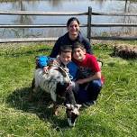 Goat Cuddles at Lyman Orchards