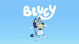 Bluey Party