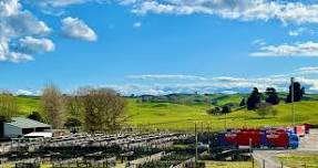 TAUPO Boner Cow & Cattle Sale