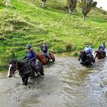 Adult Horse Riding Camp