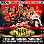 Big Little Brawlers – Micro Wrestling