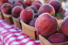 Peach Daze at the Cary Farmers Market