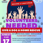 Give a Dog a Home Rescue - VOLUNTEEER Morning