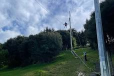 17 Metre High Swing: Adrenaline Fueled Fun in New Zealand's Highest Swing