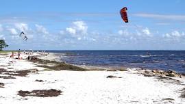 Wakulla County Coastal Cleanup