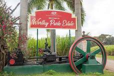 Half Day Tour in Worthy Park Rum Estate: History, Rum Tasting, and Fun Experiences