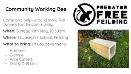 Predator Free Feilding Working Bee