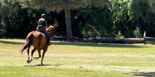 LONE TREE FARM JULY 7th HUNTER PACE