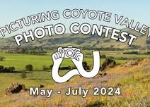 Picturing Coyote Valley Photo Contest