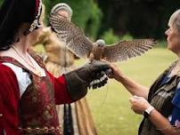 Falconry at Sudeley Castle & Gardens