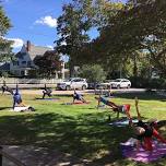 Outdoor Group Yoga Class