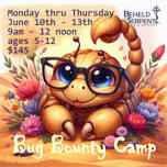 Bug Bounty Camp