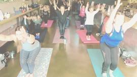 Yoga + Wine at Sparkman Cellars