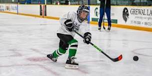 Orland Park, IL Great Lakes Hockey Camp