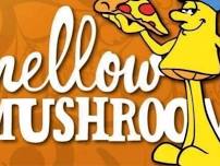 Mellow Mushroom Wesley Chapel