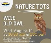 Nature Tots: Wise Old Owl