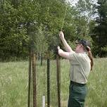 Carpenter Nature Center WI Campus Planting Party