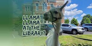 Llama Llama at the Library