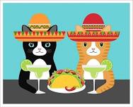 Cats & Margaritas