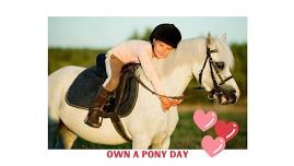 Own A Pony Day