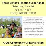 Three Sisters Planting Experience