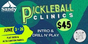 Summer Pickleball Clinics