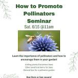 How to Promote Pollinators — Caras Nursery