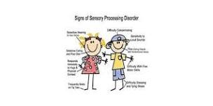 Sensory Processing Disorder- Training Course