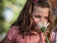 Nature Play: Follow Your Nose