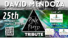 David Mendoza plays Pink Floyd/Led Zeppelin Tribute Concert