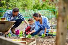 Family Gardening: Sow & Grow (Ages 6-10) at New England Botanic Garden!