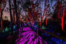 Moama Lights is set to light up regional Victoria again in July 2024