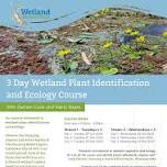 Wetland Plant Identification and Ecology Course 2024-2025