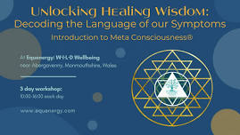 Unlocking Healing Wisdom - an Introduction to Meta Consciousness®