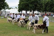 English National Show 2024