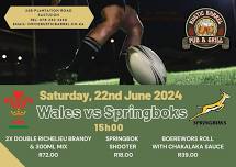 Rugby - Wales vs Springboks