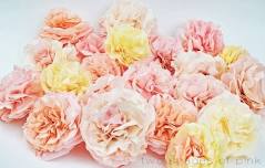 Craft - Coffee Filter Peonies